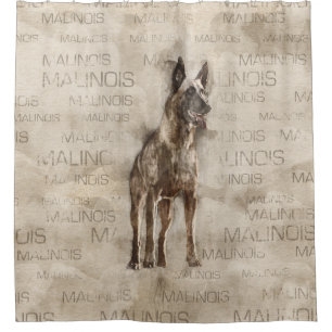 Belgian Malinois - Mechelaar  - Maligator Shower Curtain