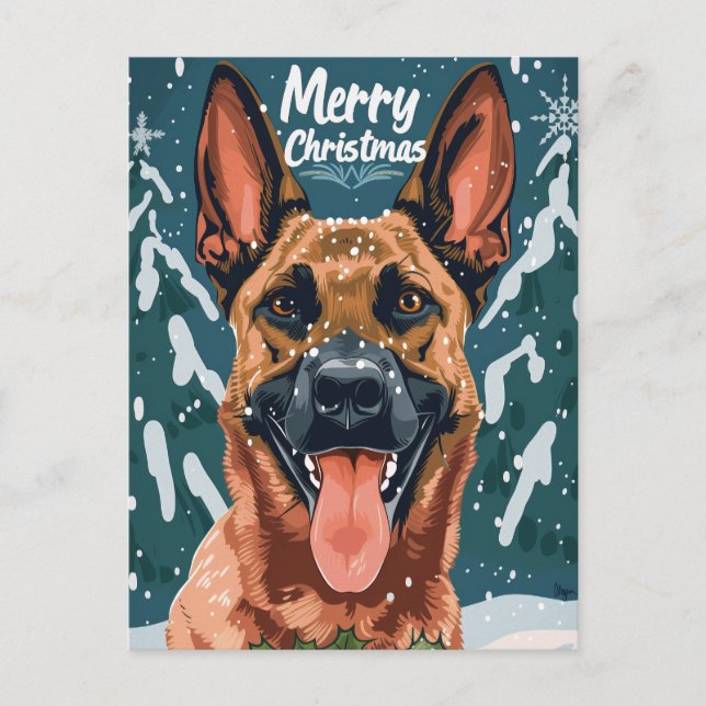 Belgian Malinois Merry Christmas  Postcard (Front)