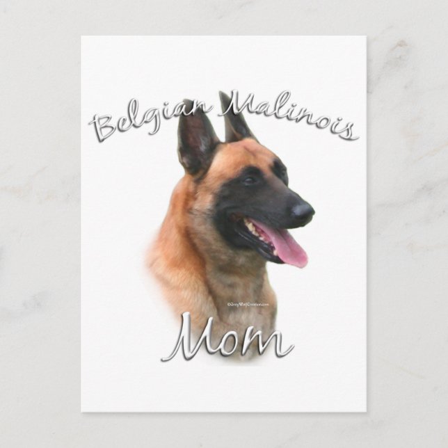 Belgian Malinois Mom 2 Postcard (Front)