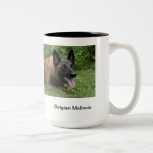 Belgian Malinois mug