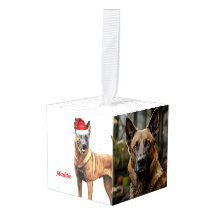 Belgian Malinois Name Two Photo Christmas Holiday