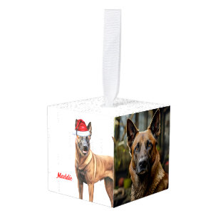 Belgian Malinois Name Two Photo Christmas Holiday Cube Ornament