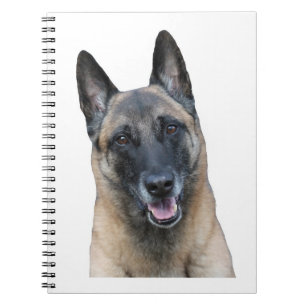 Belgian Malinois Notebook