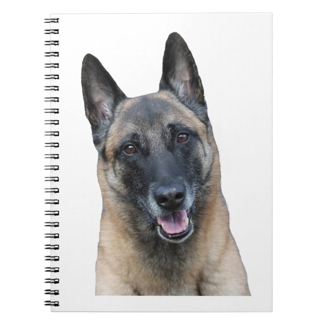 Belgian Malinois Notebook (Front)