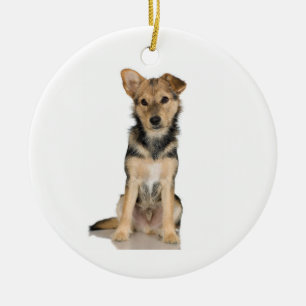 Belgian Malinois Ornament