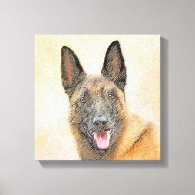 Belgian Malinois Painting - Cute Original Dog Art Canvas Print (Front)