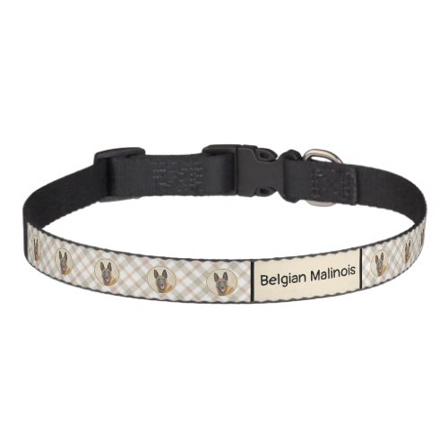 Belgian Malinois Painting _ Cute Original Dog Art Pet Collar