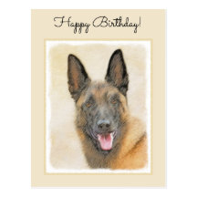 happy birthday belgian malinois