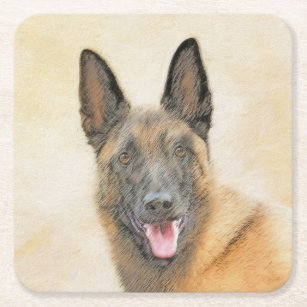 Belgian Malinois Painting - Cute Original Dog Art Square Paper Coaster