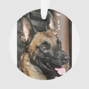 belgian malinois.png ornament