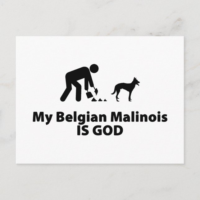 Belgian Malinois Postcard (Front)
