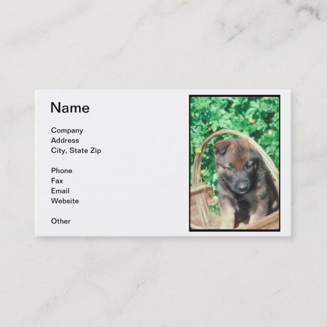Belgian Malinois Puppy Business Card (Front)