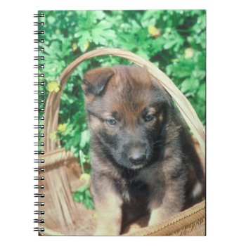 Belgian Malinois Puppy Notebook by walkandbark at Zazzle