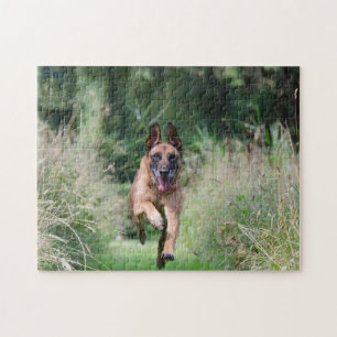 Belgian Malinois Running Jigsaw Puzzle