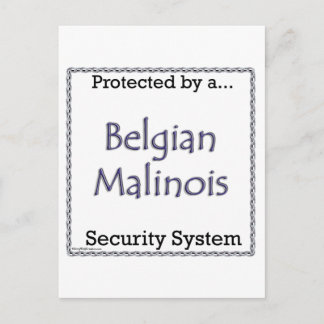 Belgian Malinois Security System Postcard