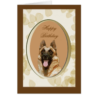 Belgian Malinois Birthday Cards | Zazzle