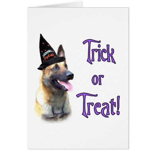 Belgian Malinois Trick Cards (Front)