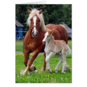 belgian Mare and Filly (Front)