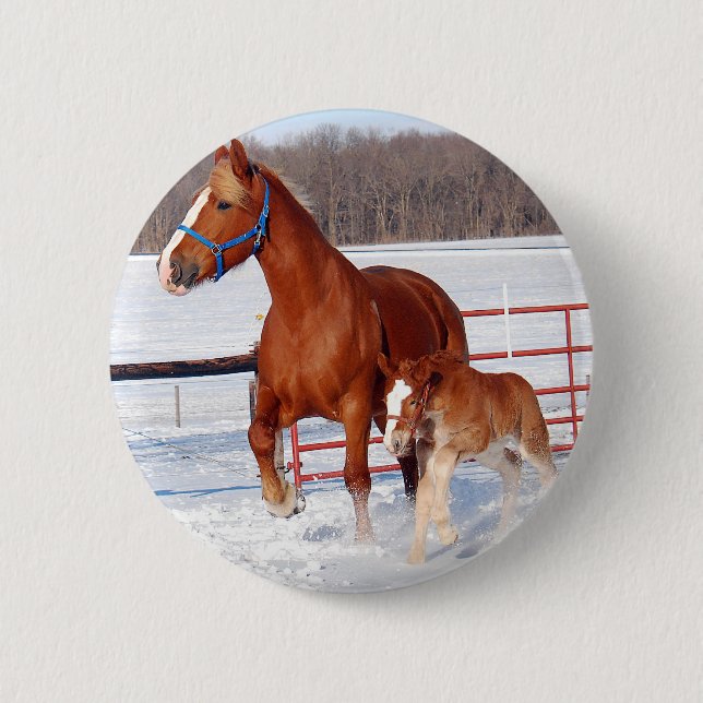 Belgian Mare and Filly Pinback Button (Front)