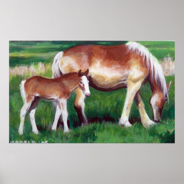 Belgian Mare and Foal Horse Portrait Poster (Front)