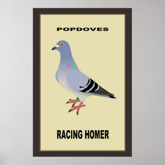 Belgian Racing Homer Poster
