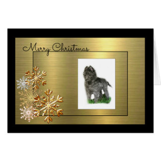 Belgian Sheepdog Cards