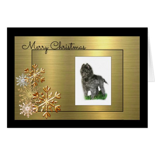 Belgian Sheepdog Cards (Front Horizontal)