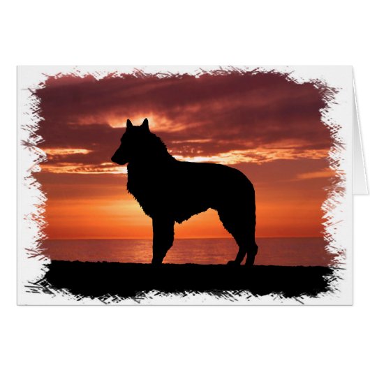 Belgian Sheepdog Cards (Front Horizontal)