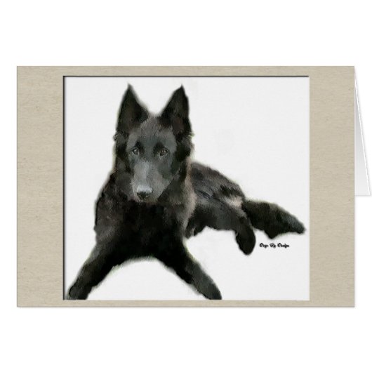 Belgian Sheepdog Gifts (Front Horizontal)