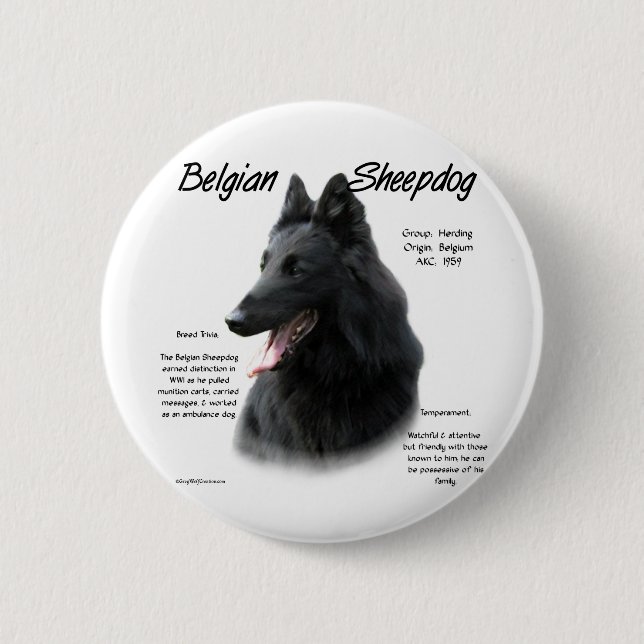 Belgian Sheepdog History; All About Sheepdogs Pinback Button (Front)