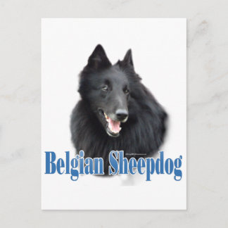 Belgian Sheepdog Name Postcard