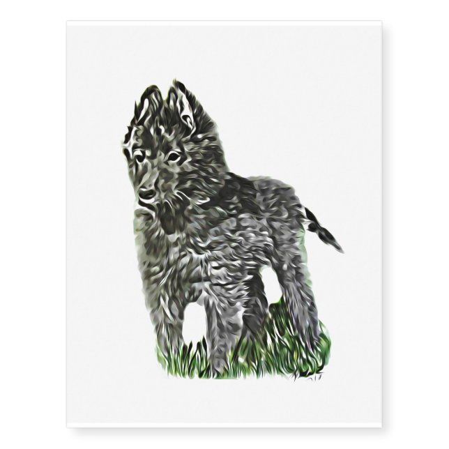 Belgian Sheepdog Temporary Tattoos (Front)