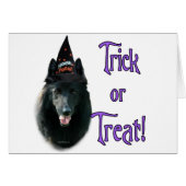 Belgian Sheepdog Trick (Front Horizontal)