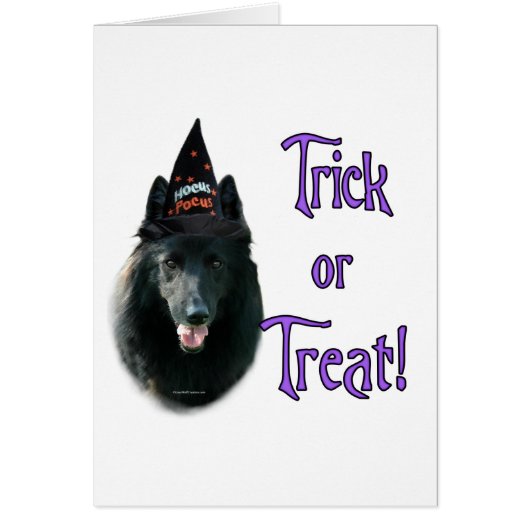 Belgian Sheepdog Trick Cards (Front)
