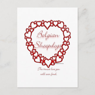 Belgian Sheepdog True Love Postcard