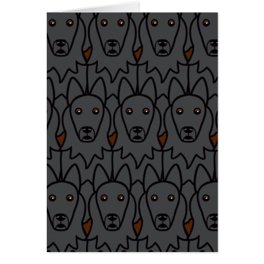 Belgian Sheepdogs Cards (Front)
