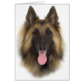 Belgian Sheperd Tervueren (Front)