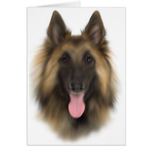 Belgian Sheperd Tervueren