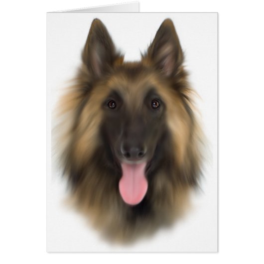 Belgian Sheperd Tervueren Cards (Front)