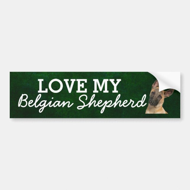 Belgian Shepherd bumper sticker (Front)