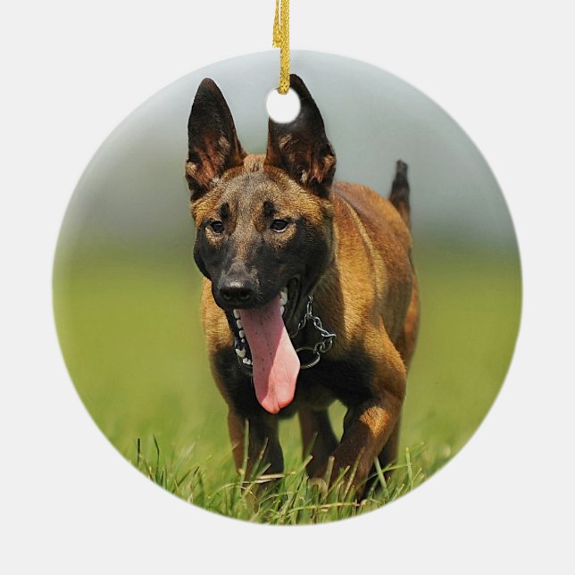 Belgian Shepherd Dog Ceramic Ornament (Back)
