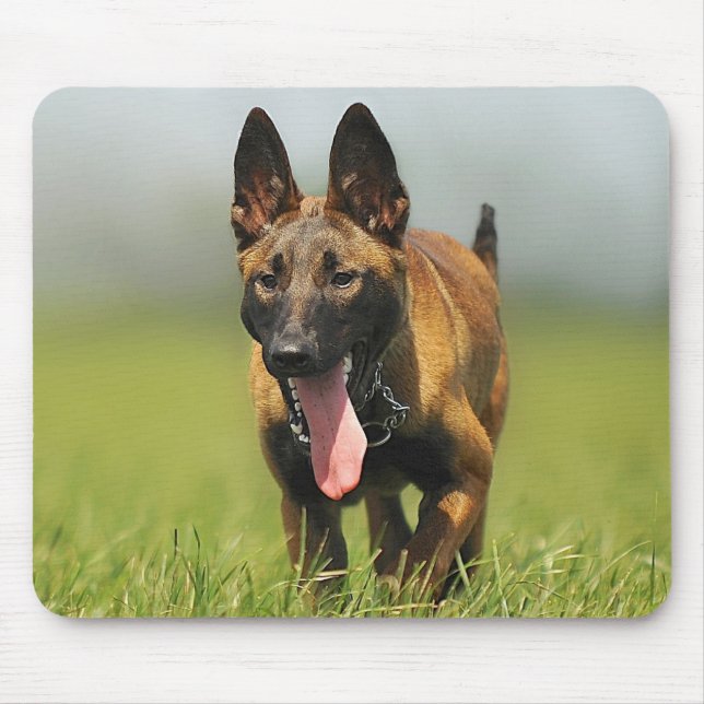 Belgian Shepherd Dog Mouse Pad (Front)