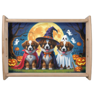 Belgian Shepherd Dogs Pumpkin Halloween Funny Serving Tray