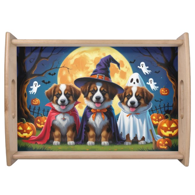 Belgian Shepherd Dogs Pumpkin Halloween Funny Serving Tray (Front)