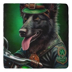 Belgian Shepherd driving bike St. Patrick's Day Trivet