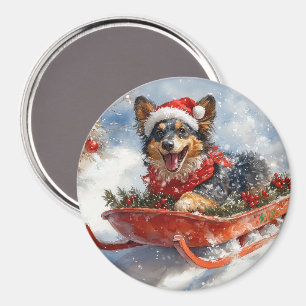 Belgian Shepherd in Sledge Let it Snow Christmas Magnet
