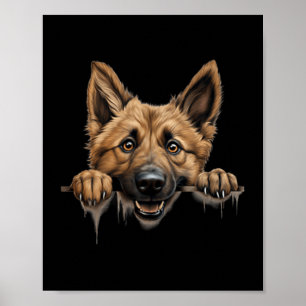 Belgian Shepherd Laekenois Dog Mom Dad Peeking Poster