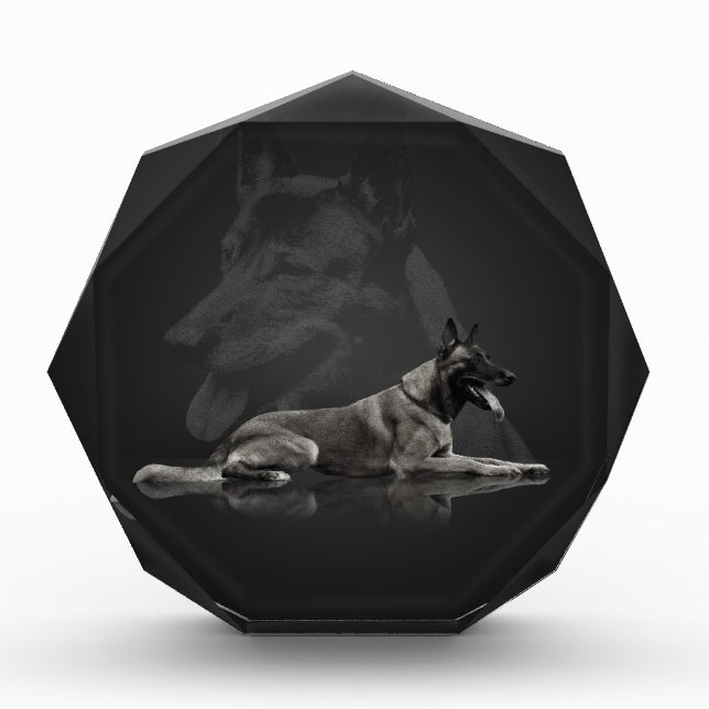 Belgian shepherd - Malinois Award (Front)