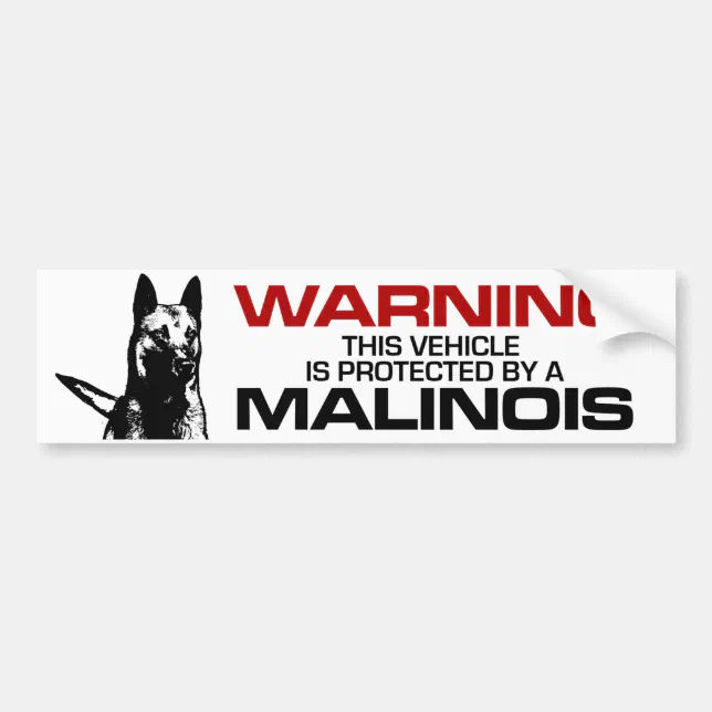 thumbnail interactive-video image 1 of Belgian Malinois Dog Vinyl Sticker – Black Car Window Decal, Weatherproof Bumper Sign, UK Made 1 of 5