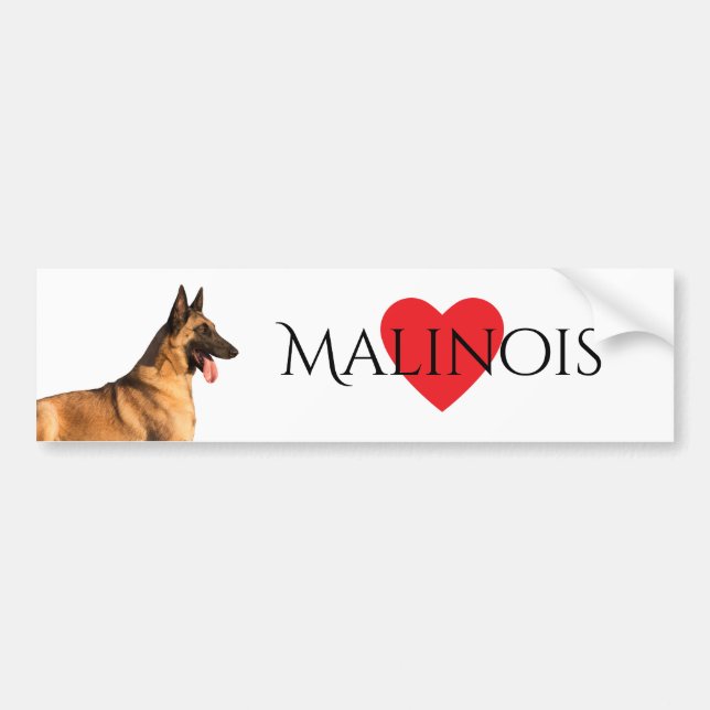 Belgian Shepherd Malinois Bumper Sticker (Front)